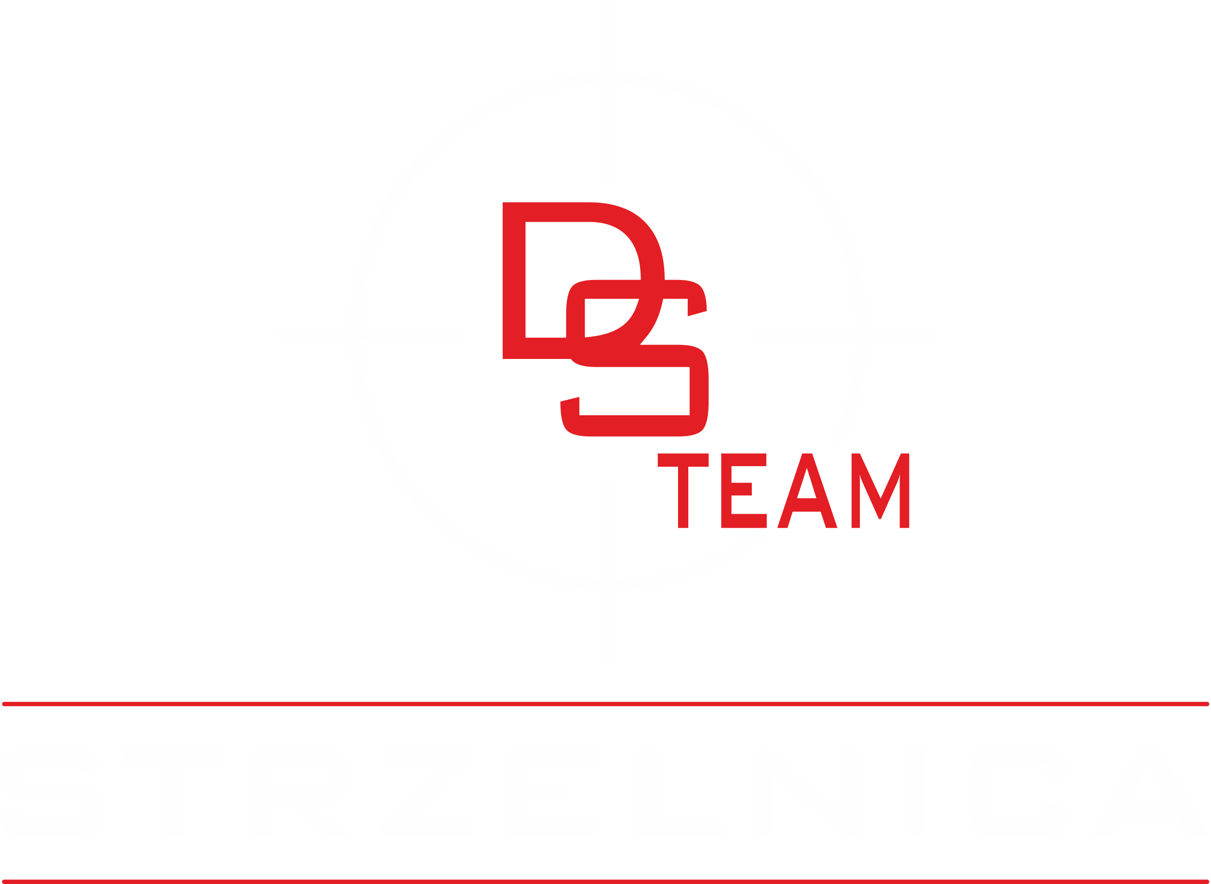 DSTeam_logo_wersja_pionowa_1