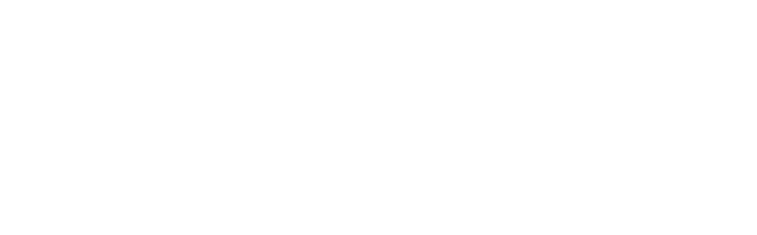 logo_web_customs-white